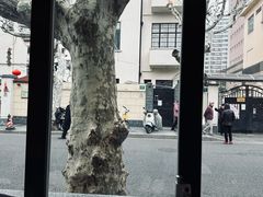 -Apollo·西班牙小酒馆(安福路店)