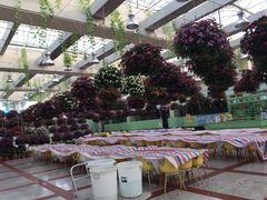 -广州花之恋城堡酒店