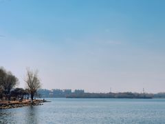 -丁香湖公园