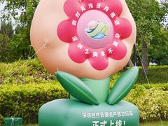 -宝安西湾红树林湿地公园