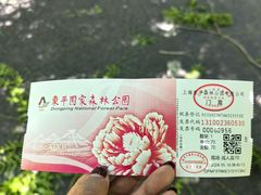 -东平国家森林公园