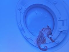 -常州海昌海洋探索馆