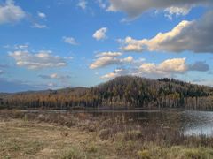 -五营红松林海景区