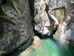 -牛背梁国家森林公园