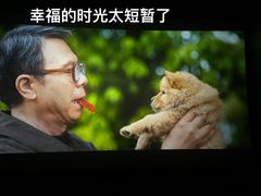 -金逸影城(影视中心IMAX店)