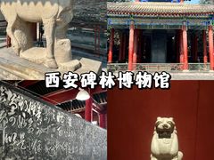 -陕西历史博物馆