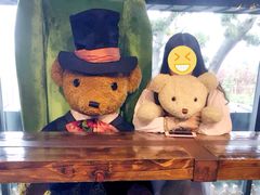 -济州岛泰迪熊博物馆