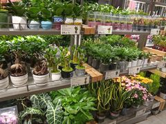 -鹿岛生活(熙地港店)