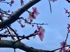 -花果园湿地公园