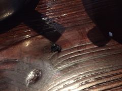 -顺风山庄(水濂山店)