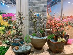 -双季花艺园艺市场(浦东店)