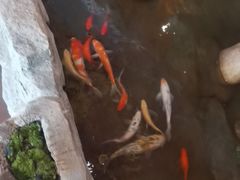 -鸥迪足道(湖南示范店)