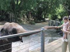 -深圳野生动物园