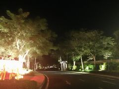 -三亚御海棠豪华精选度假酒店