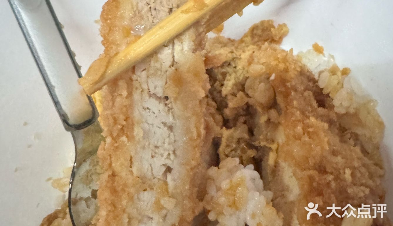今天的午饭就选这个了！猪排配米饭