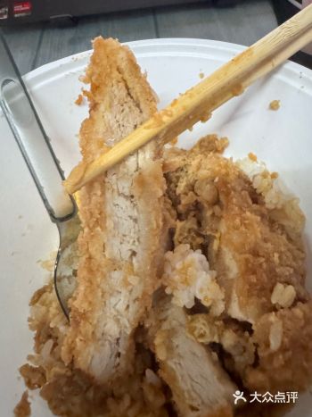 今天的午饭就选这个了！猪排配米饭