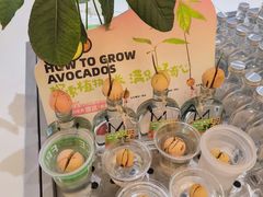 -Mr.Fruits水果先生(英蓝金融中心店)