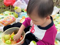 -王借岗森林公园