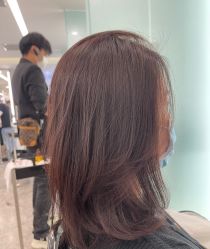 -THE LOG SALON 记录