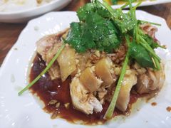 白切鸡-电白鸭粥店(下沙二坊88号店)