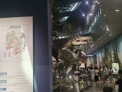 -湖南省地质博物馆