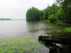 -东湖落雁景区