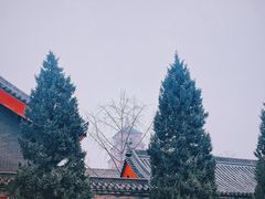 -大慈恩寺(大雁塔)