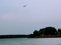 -丁香湖公园