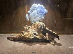 -广州白天鹅宾馆