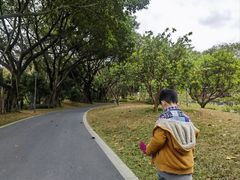 -云溪植物园