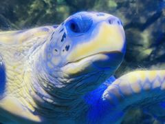 -太平洋海底世界