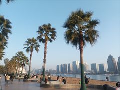 -金沙湖公园