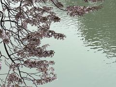 -红星桥(地铁站)