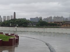 -江心屿景区