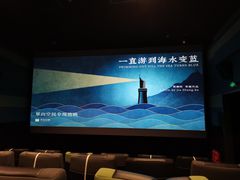 -新影联·华谊兄弟影院(望京店)