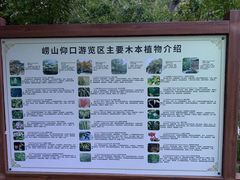 -崂山仰口游览区