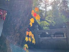 -虞山风景区