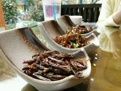 -福照楼汽锅鸡·云南菜(护国路店)