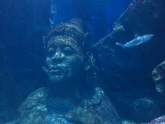 -暹罗海洋世界