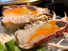 刺身级莫桑比克玫瑰龙-肆味(东原1891江景店)