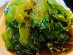 白灼西生菜-粤秀小厨·广式早茶(辽宁路店)