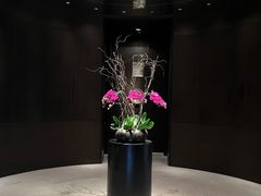 -当米亚诺意大利餐厅(武汉光谷凯悦酒店)