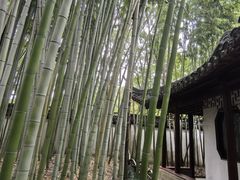 -秋霞圃