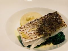 -迪拜帆船酒店海底餐厅