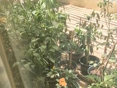 -宅里香.自然餐厅(湘大店)