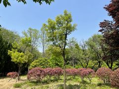 -洛阳市隋唐城遗址植物园