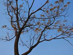 -盘龙城国家考古遗址公园