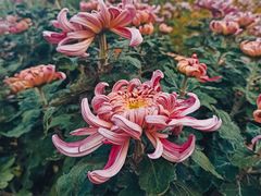 -共青国家森林公园-售票处