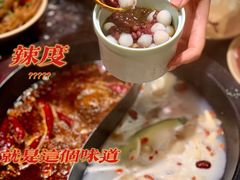 -蜀大侠火锅(森兰花园城店)