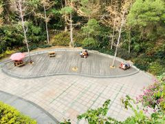 -金鸡山公园